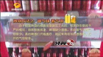 兰州啤酒爆料视频大全下载,一窥啤酒背后的故事与魅力