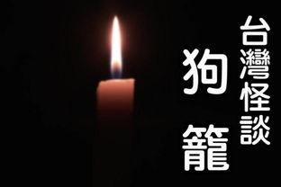 台湾怪谈电影在线观看,揭秘经典怪谈电影在线观看之旅